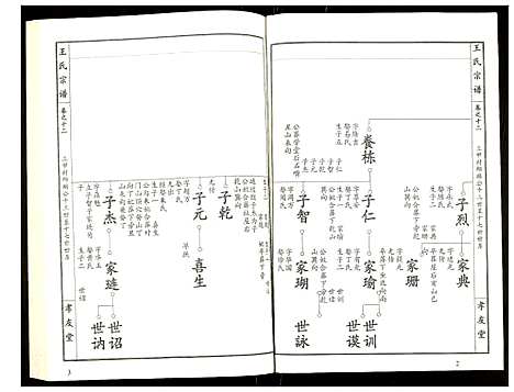 [王]王氏宗谱 (湖北) 王氏家谱_十三.pdf