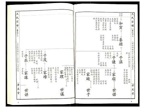 [王]王氏宗谱 (湖北) 王氏家谱_十三.pdf