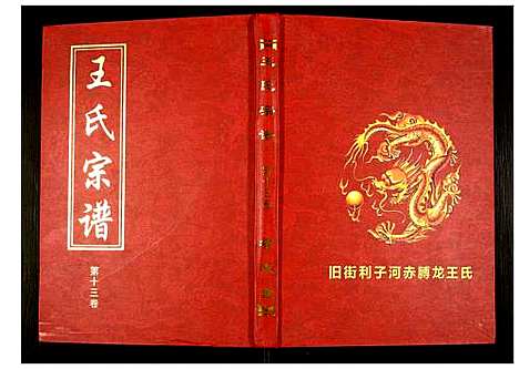 [王]王氏宗谱 (湖北) 王氏家谱_十四.pdf