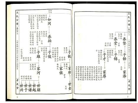 [王]王氏宗谱 (湖北) 王氏家谱_十四.pdf