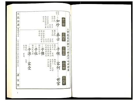 [王]王氏宗谱 (湖北) 王氏家谱_十五.pdf