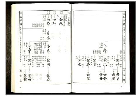 [王]王氏宗谱 (湖北) 王氏家谱_十六.pdf