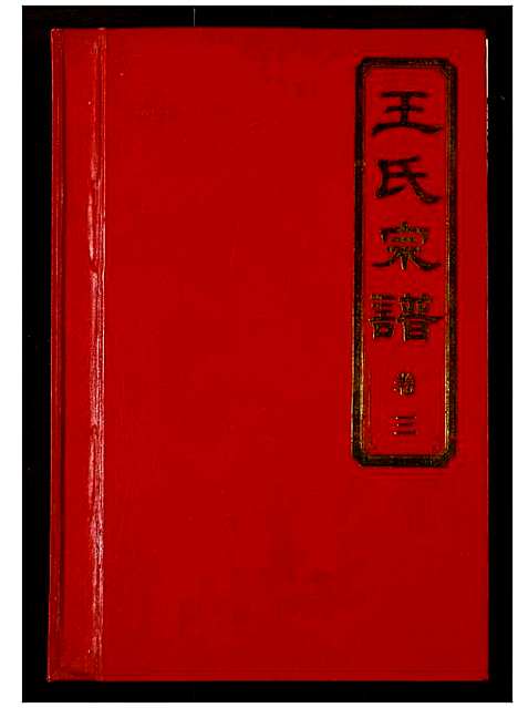 [王]王氏宗谱 (湖北) 王氏家谱_三.pdf