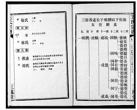 [王]王氏宗谱 (湖北) 王氏家谱_三.pdf