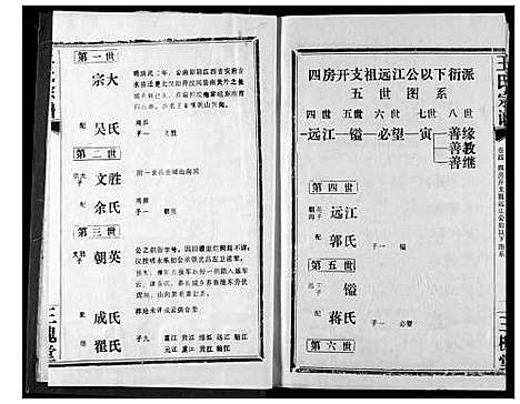 [王]王氏宗谱 (湖北) 王氏家谱_四.pdf