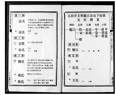 [王]王氏宗谱 (湖北) 王氏家谱_五.pdf