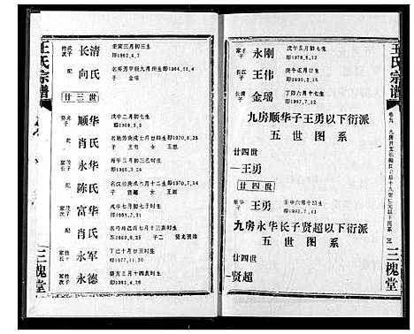 [王]王氏宗谱 (湖北) 王氏家谱_九.pdf