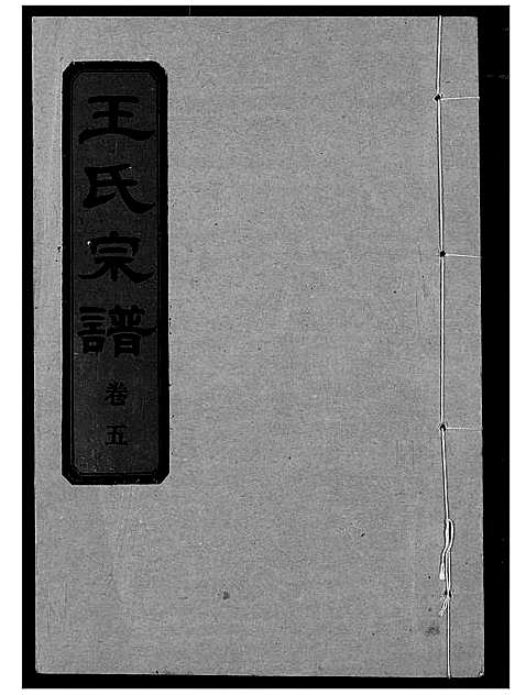 [王]王氏宗谱 (湖北) 王氏家谱_六.pdf