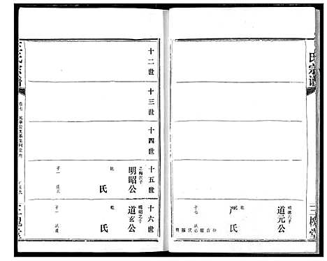 [王]王氏宗谱 (湖北) 王氏家谱_八.pdf