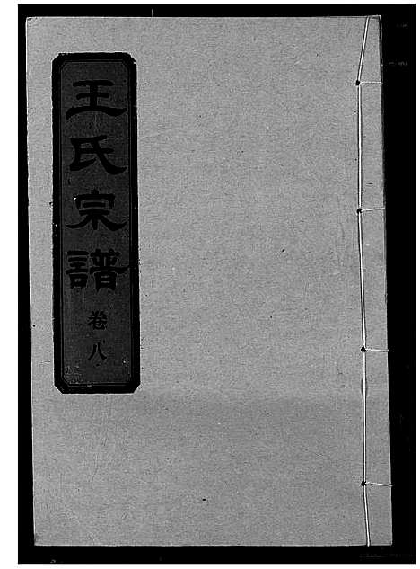 [王]王氏宗谱 (湖北) 王氏家谱_九.pdf