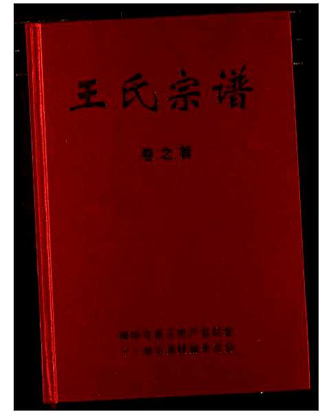 [王]王氏宗谱 (湖北) 王氏家谱_一.pdf