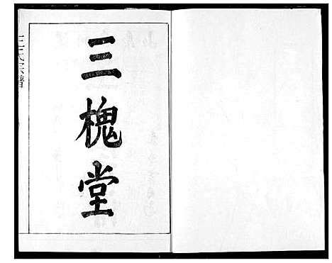 [王]王氏宗谱 (湖北) 王氏家谱_一.pdf