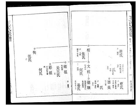 [王]王氏宗谱 (湖北) 王氏家谱_十二.pdf