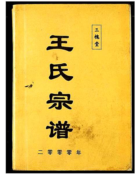 [王]王氏宗谱 (湖北) 王氏家谱.pdf