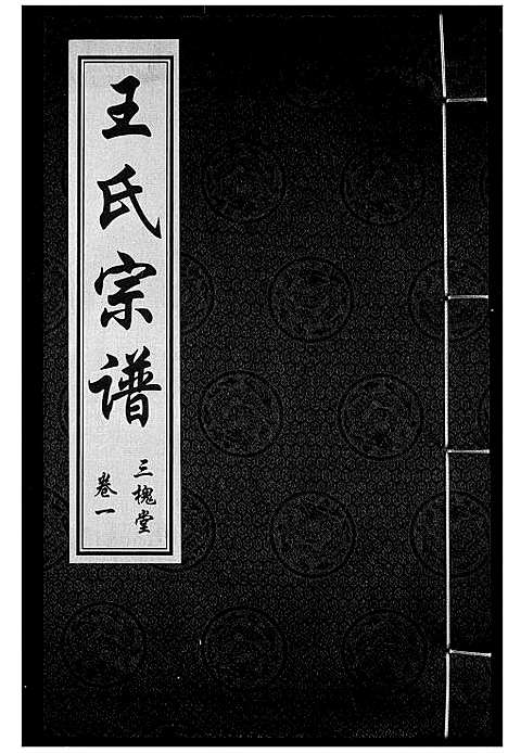 [王]王氏宗谱 (湖北) 王氏家谱_二.pdf