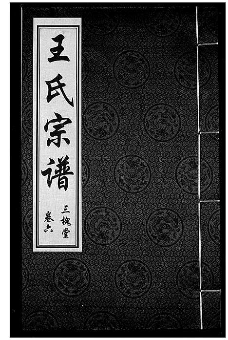 [王]王氏宗谱 (湖北) 王氏家谱_七.pdf