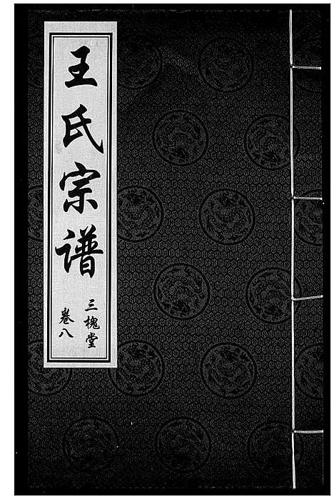 [王]王氏宗谱 (湖北) 王氏家谱_九.pdf