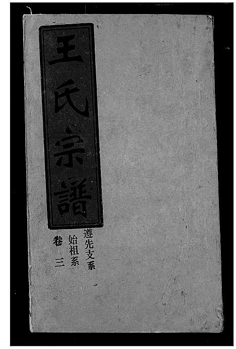 [王]王氏宗谱 (湖北) 王氏家谱_三.pdf