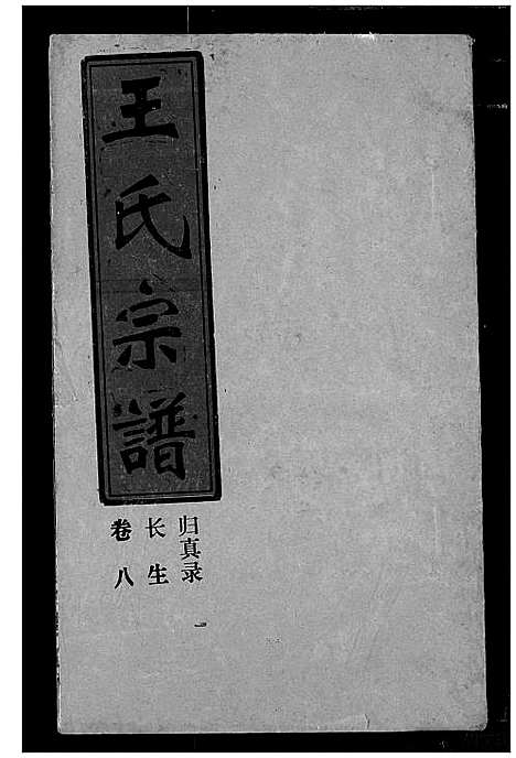 [王]王氏宗谱 (湖北) 王氏家谱_八.pdf