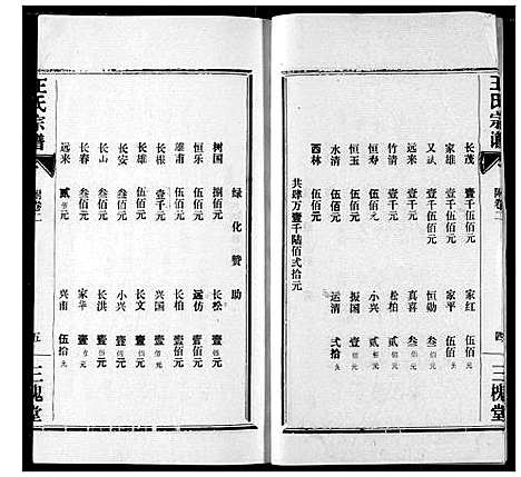 [王]王氏宗谱 (湖北) 王氏家谱_九.pdf