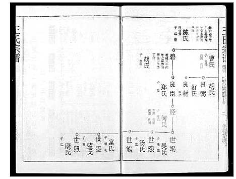 [王]王氏宗谱 (湖北) 王氏家谱_二十.pdf