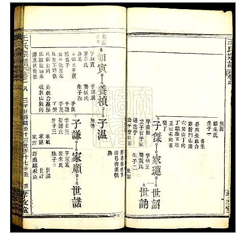 [王]王氏宗谱 (湖北) 王氏家谱_八.pdf