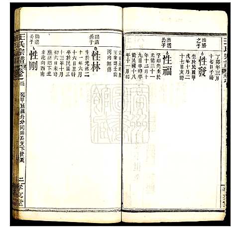 [王]王氏宗谱 (湖北) 王氏家谱_三十.pdf