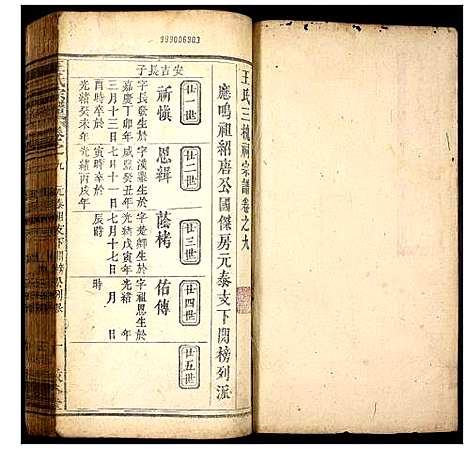 [王]王氏宗谱 (湖北) 王氏家谱_七.pdf