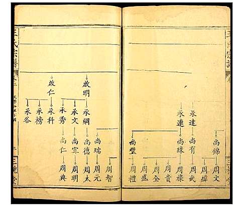 [王]王氏宗谱 (湖北) 王氏家谱_三.pdf