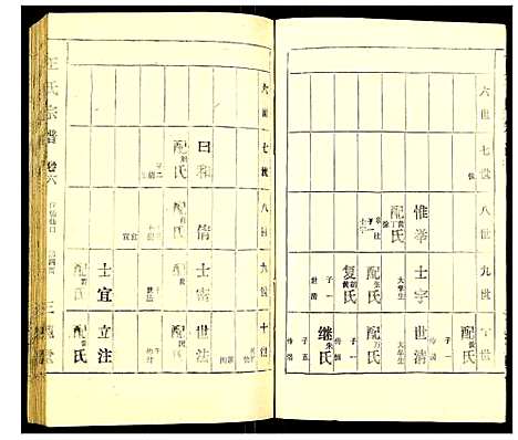 [王]王氏宗谱 (湖北) 王氏家谱_三.pdf