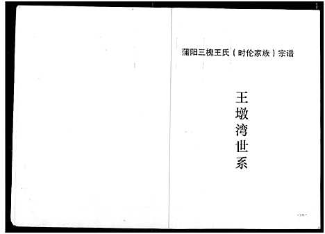 [王]王氏宗谱 (湖北) 王氏家谱_二.pdf