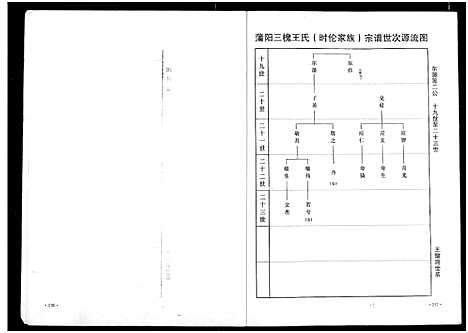 [王]王氏宗谱 (湖北) 王氏家谱_二.pdf