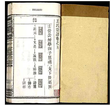 [王]王氏宗谱 (湖北) 王氏家谱_六.pdf