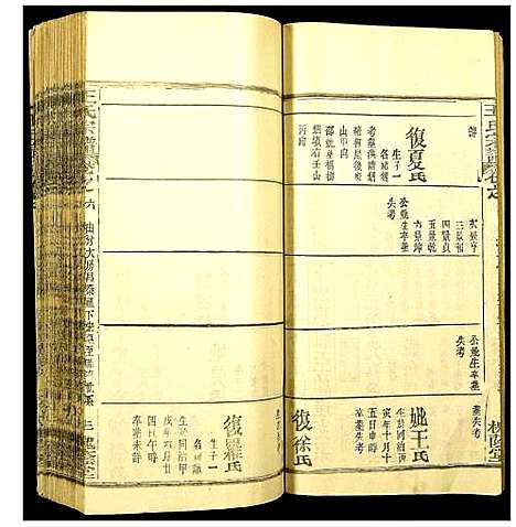 [王]王氏宗谱 (湖北) 王氏家谱_十一.pdf