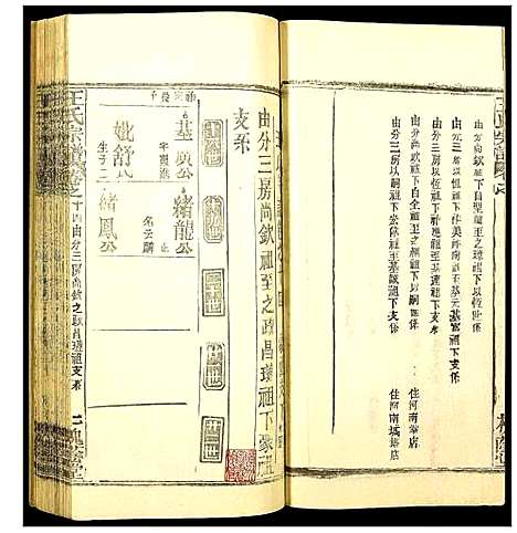 [王]王氏宗谱 (湖北) 王氏家谱_十九.pdf