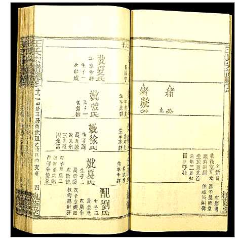 [王]王氏宗谱 (湖北) 王氏家谱_十九.pdf