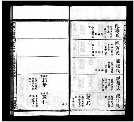 [王]王氏宗谱_10卷首2卷 (湖北) 王氏家谱_九.pdf