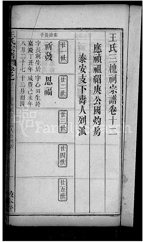 [王]王氏宗谱_15卷_末1卷-王氏三槐祠宗谱 (湖北) 王氏家谱_三.pdf