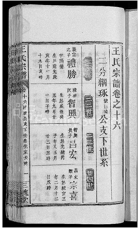 [王]王氏宗谱_19卷 (湖北) 王氏家谱_八.pdf