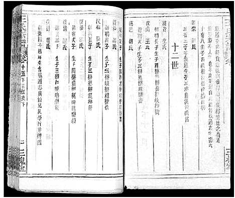 [王]王氏宗谱_31卷及卷首2卷_卷表7卷 (湖北) 王氏家谱_二十.pdf