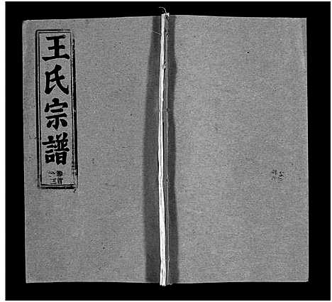 [王]王氏宗谱_按支分卷首4卷 (湖北) 王氏家谱_三.pdf