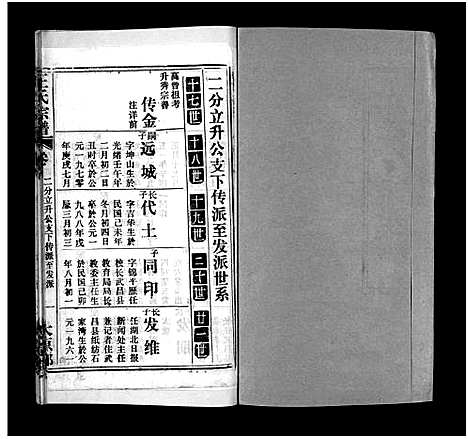 [王]王氏宗谱_按支分卷首4卷 (湖北) 王氏家谱_十二.pdf