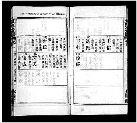 [王]王氏宗谱_按支分卷首4卷 (湖北) 王氏家谱_十四.pdf