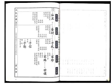 [王]王氏宗谱_15卷首1卷 (湖北) 王氏家谱_十三.pdf