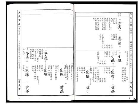 [王]王氏宗谱_15卷首1卷 (湖北) 王氏家谱_十三.pdf