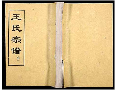 [王]王氏支谱_16卷-王氏宗谱_王氏宗谱 (湖北) 王氏支谱_八.pdf