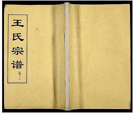 [王]王氏支谱_16卷-王氏宗谱_王氏宗谱 (湖北) 王氏支谱_十四.pdf