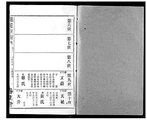 [王]关王宗谱 (湖北) 关王家谱_十二.pdf