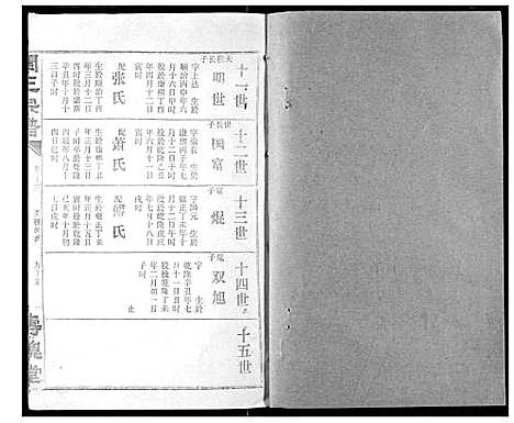 [王]关王宗谱 (湖北) 关王家谱_十三.pdf