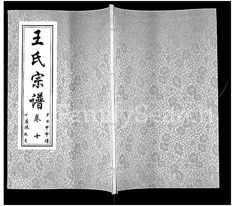 [王]王氏宗谱_11卷首1卷 (湖北) 王氏家谱_十一.pdf